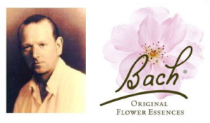 Les fleurs de Bach par hypnose 13 !